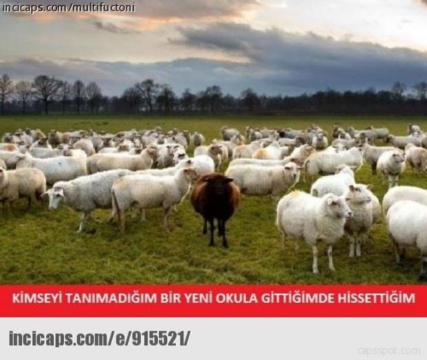 Gülme garantili ´caps´ler