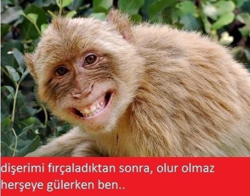 Gülme garantili ´caps´ler