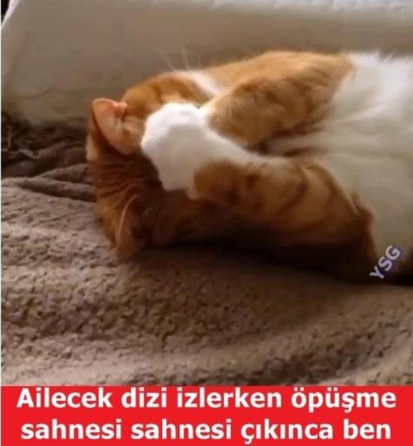 Gülme garantili ´caps´ler