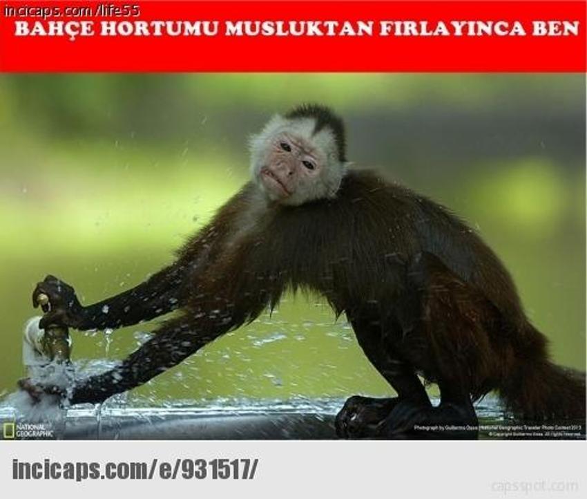 Gülme garantili ´caps´ler