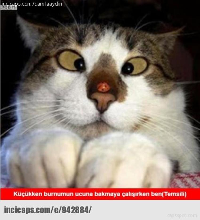 Gülme garantili ´caps´ler