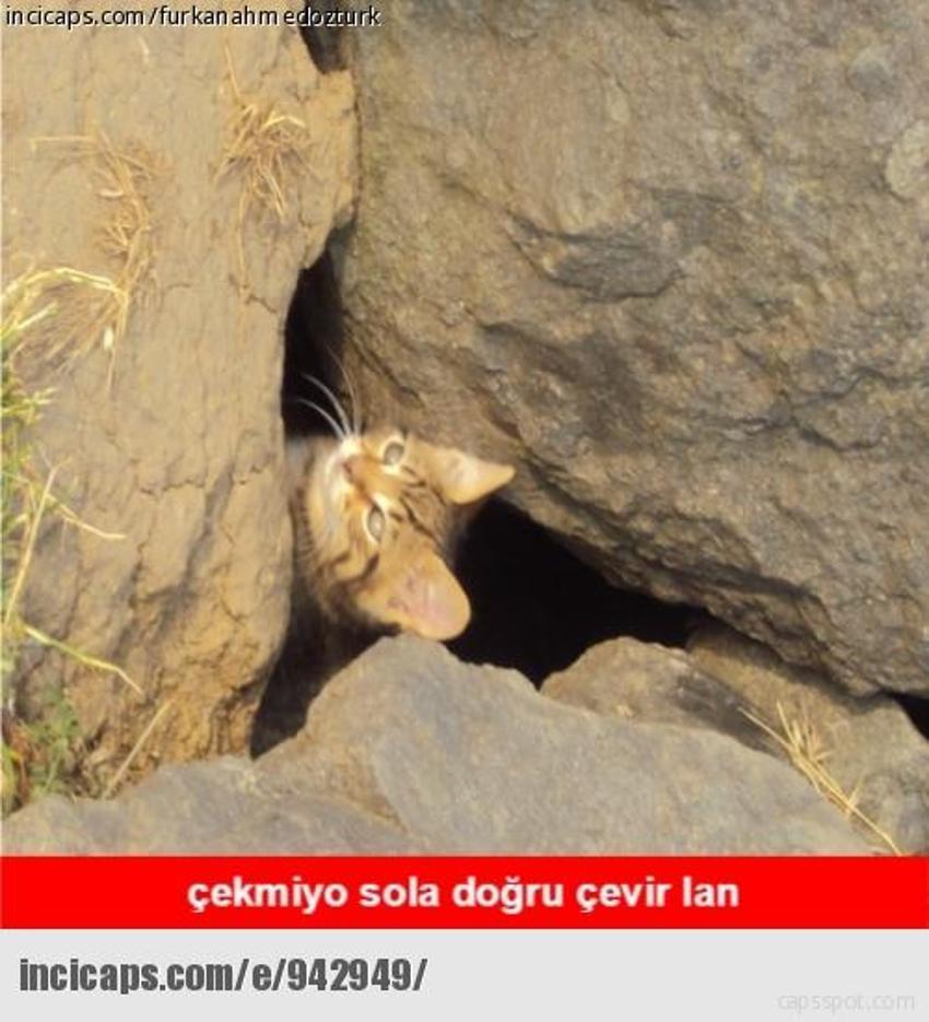 Gülme garantili ´caps´ler