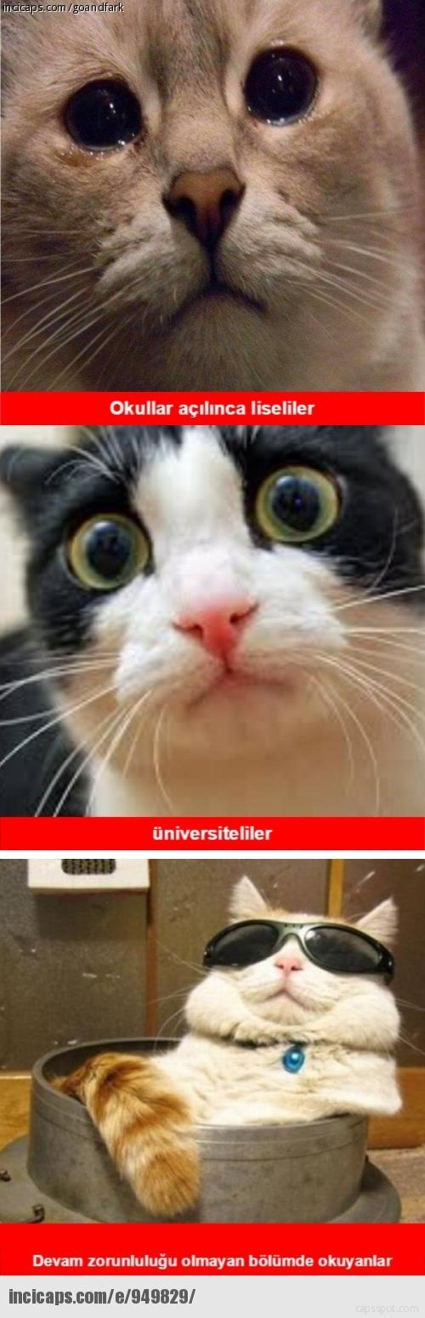 Gülme garantili ´caps´ler