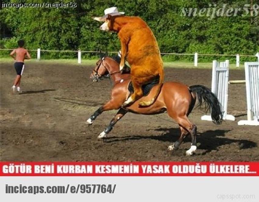 Gülme garantili ´caps´ler