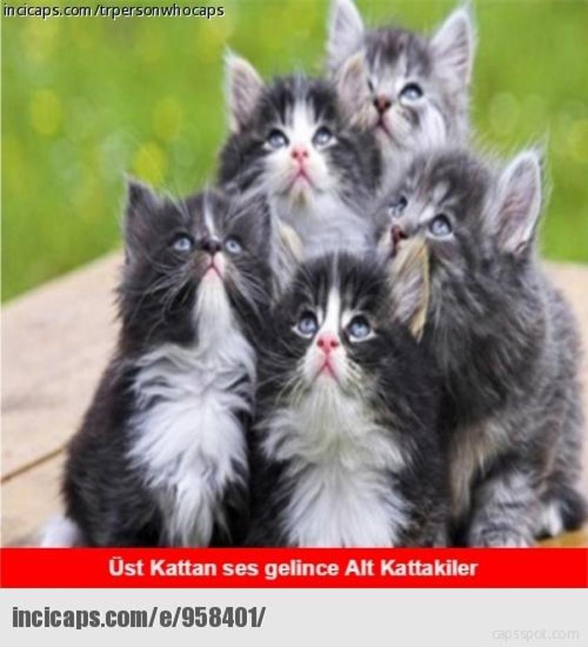 Gülme garantili ´caps´ler