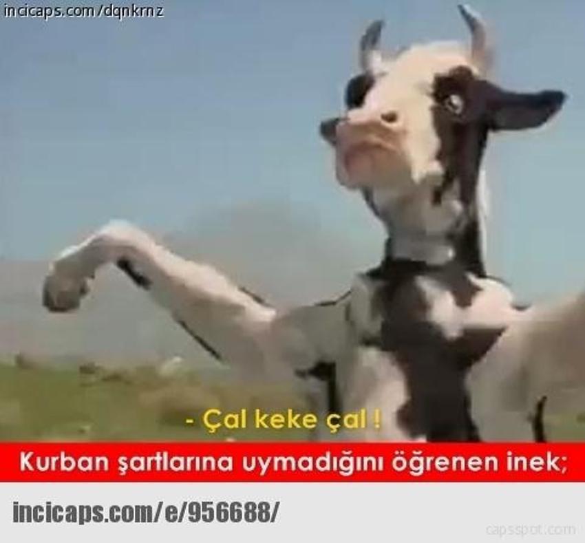 Gülme garantili ´caps´ler