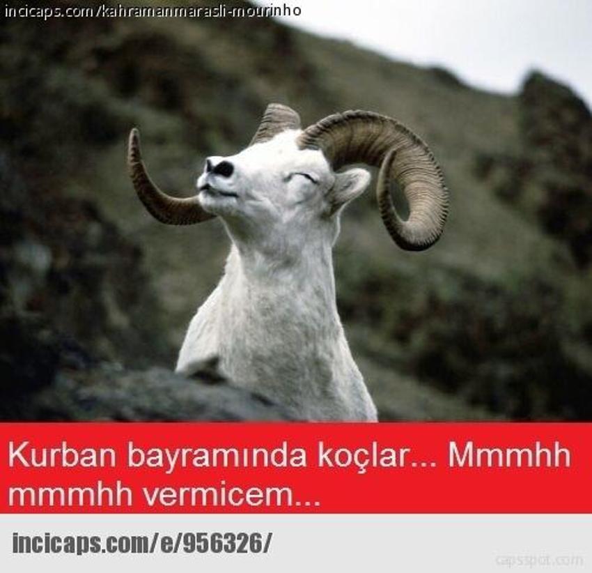 Gülme garantili ´caps´ler