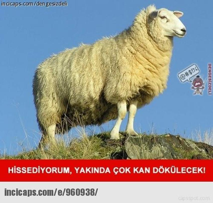 Gülme garantili ´caps´ler