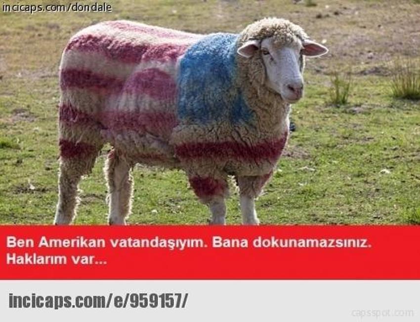 Gülme garantili ´caps´ler