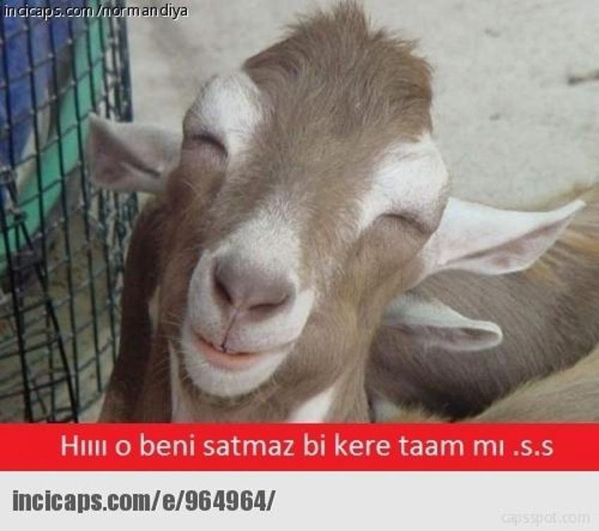 Gülme garantili ´caps´ler