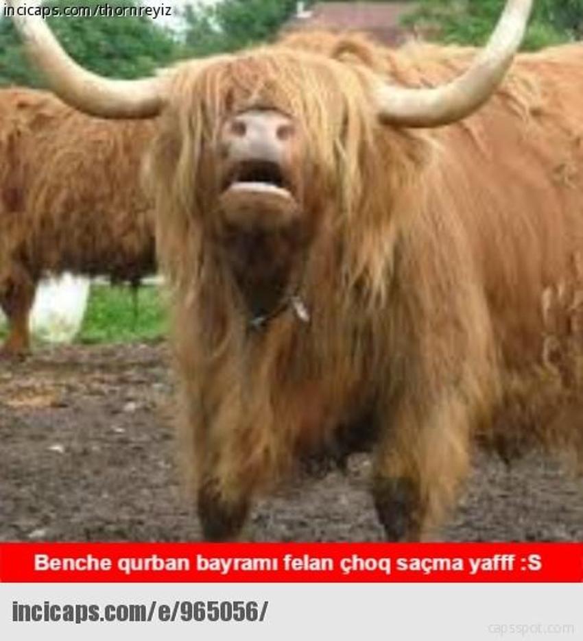Gülme garantili ´caps´ler