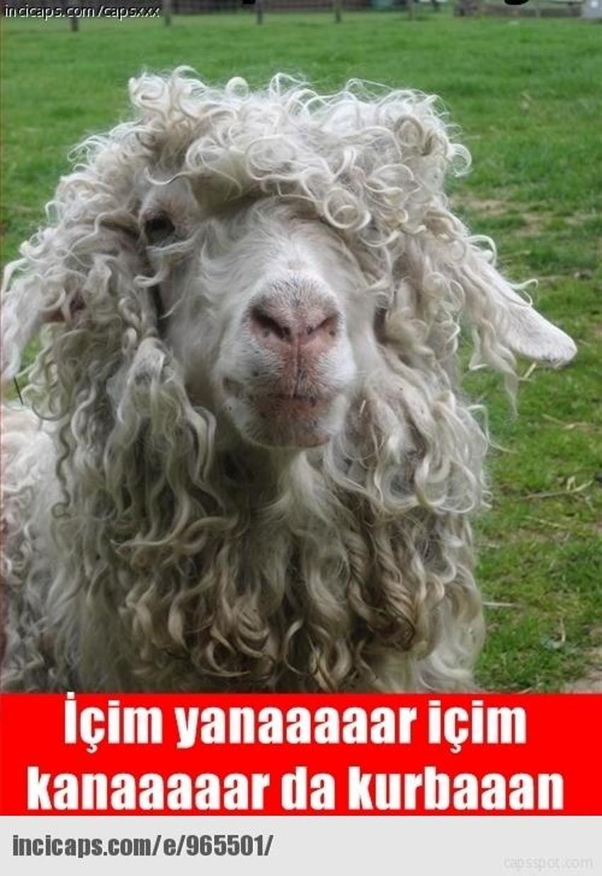 Gülme garantili ´caps´ler