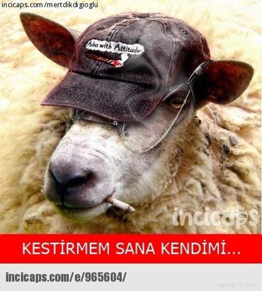 Gülme garantili ´caps´ler
