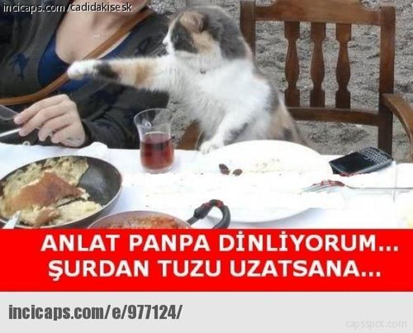 Gülme garantili ´caps´ler