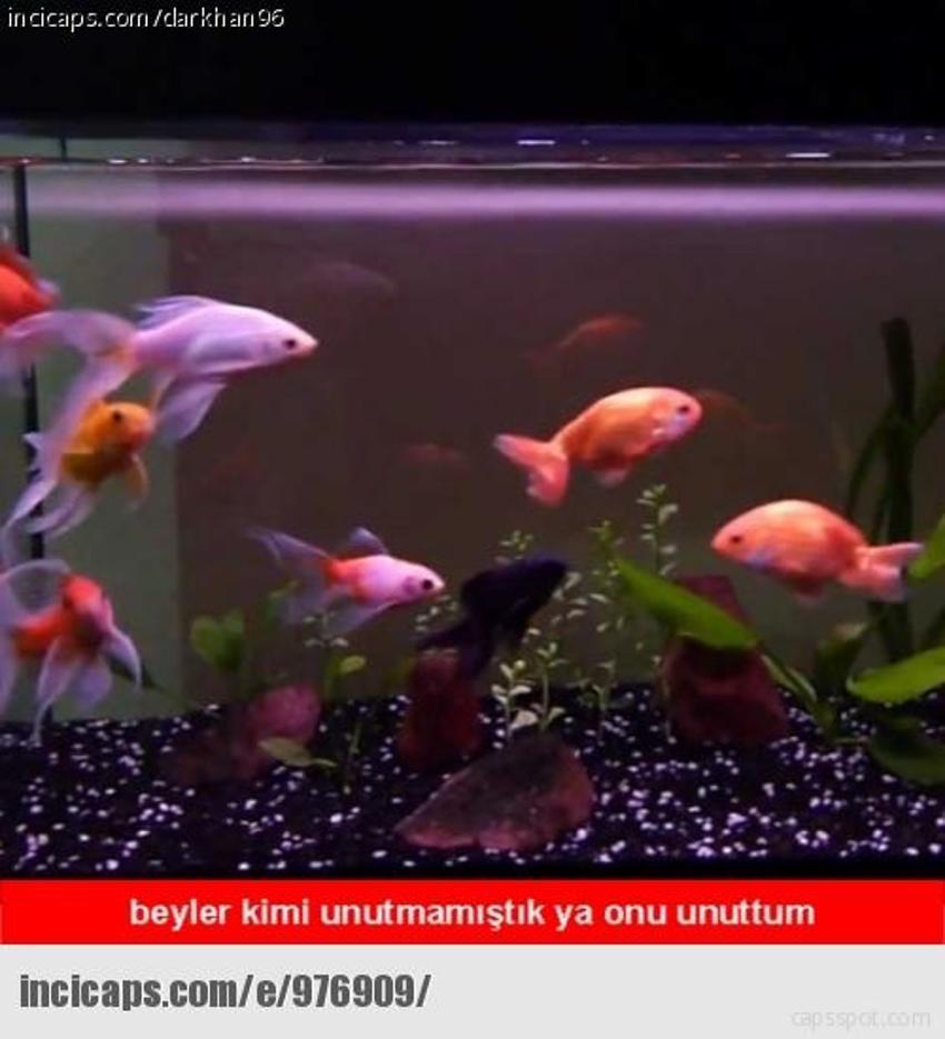 Gülme garantili ´caps´ler