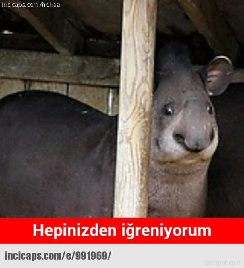 Gülme garantili ´caps´ler