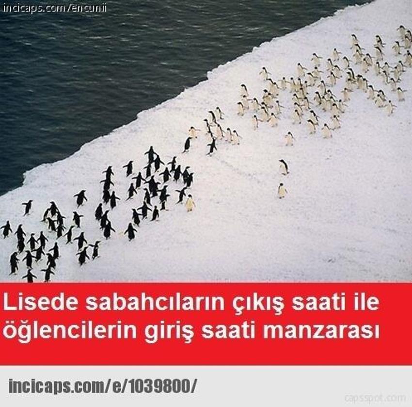 Gülme garantili ´caps´ler