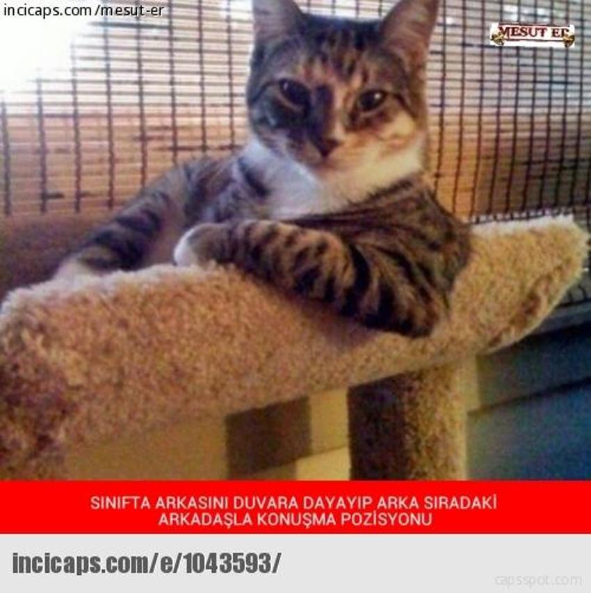Gülme garantili ´caps´ler