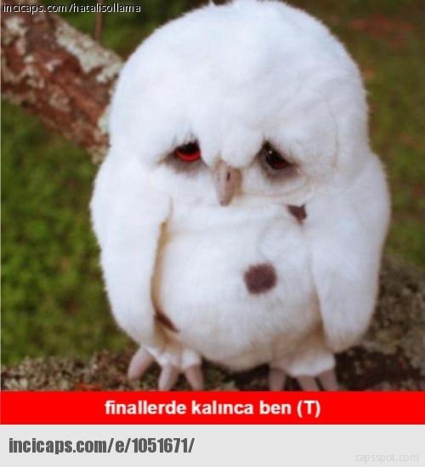 Gülme garantili ´caps´ler