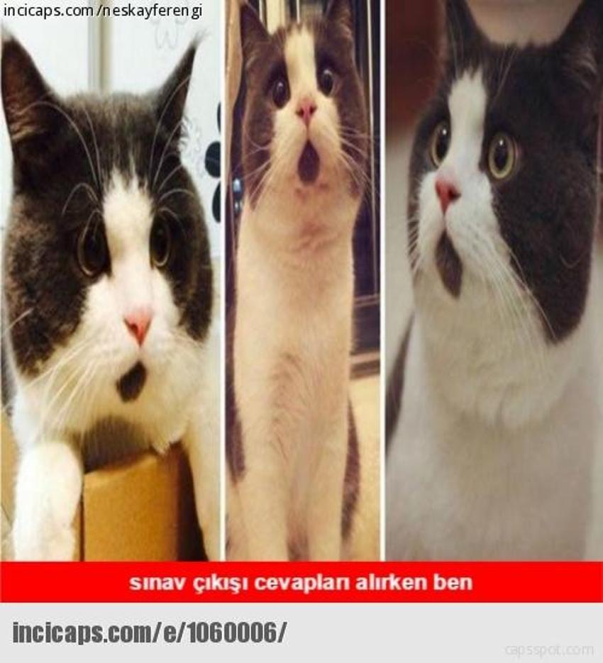 Gülme garantili ´caps´ler