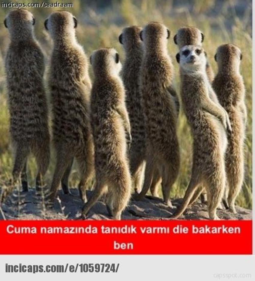 Gülme garantili ´caps´ler