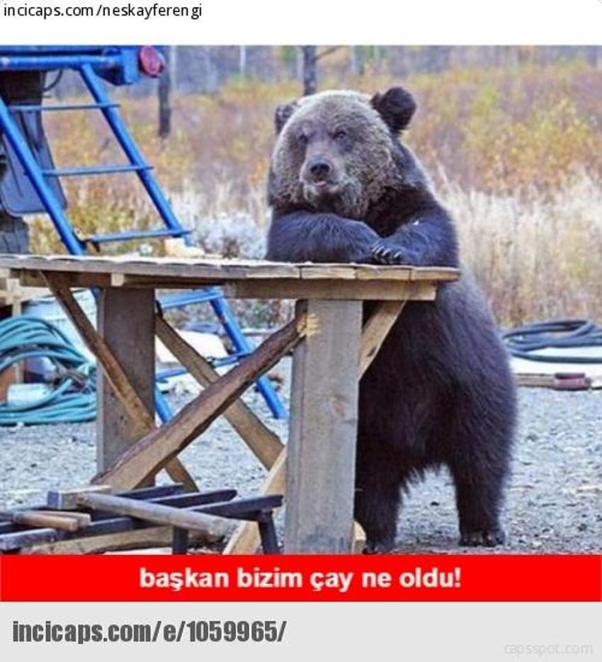 Gülme garantili ´caps´ler