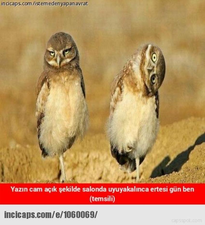 Gülme garantili ´caps´ler