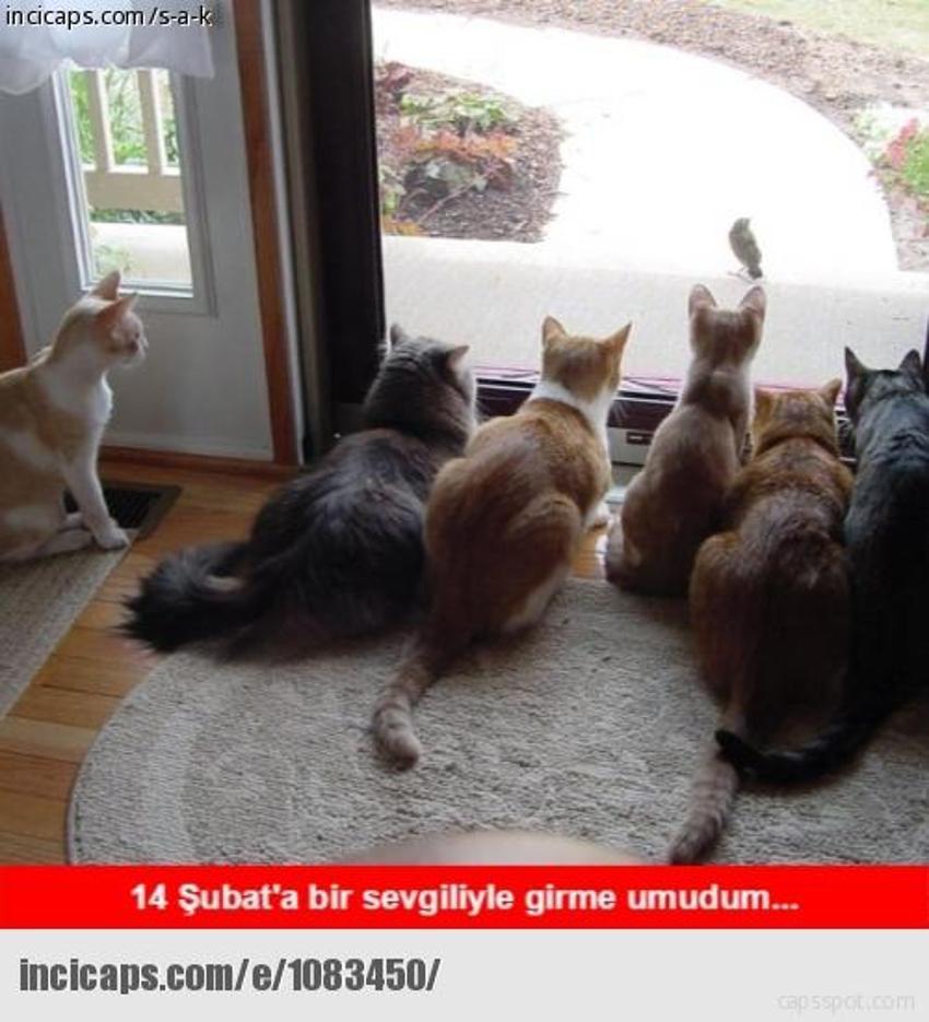 Gülme garantili ´caps´ler