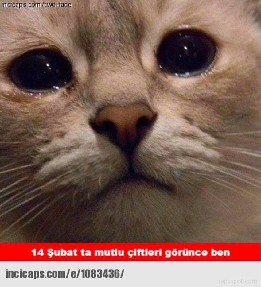 Gülme garantili ´caps´ler