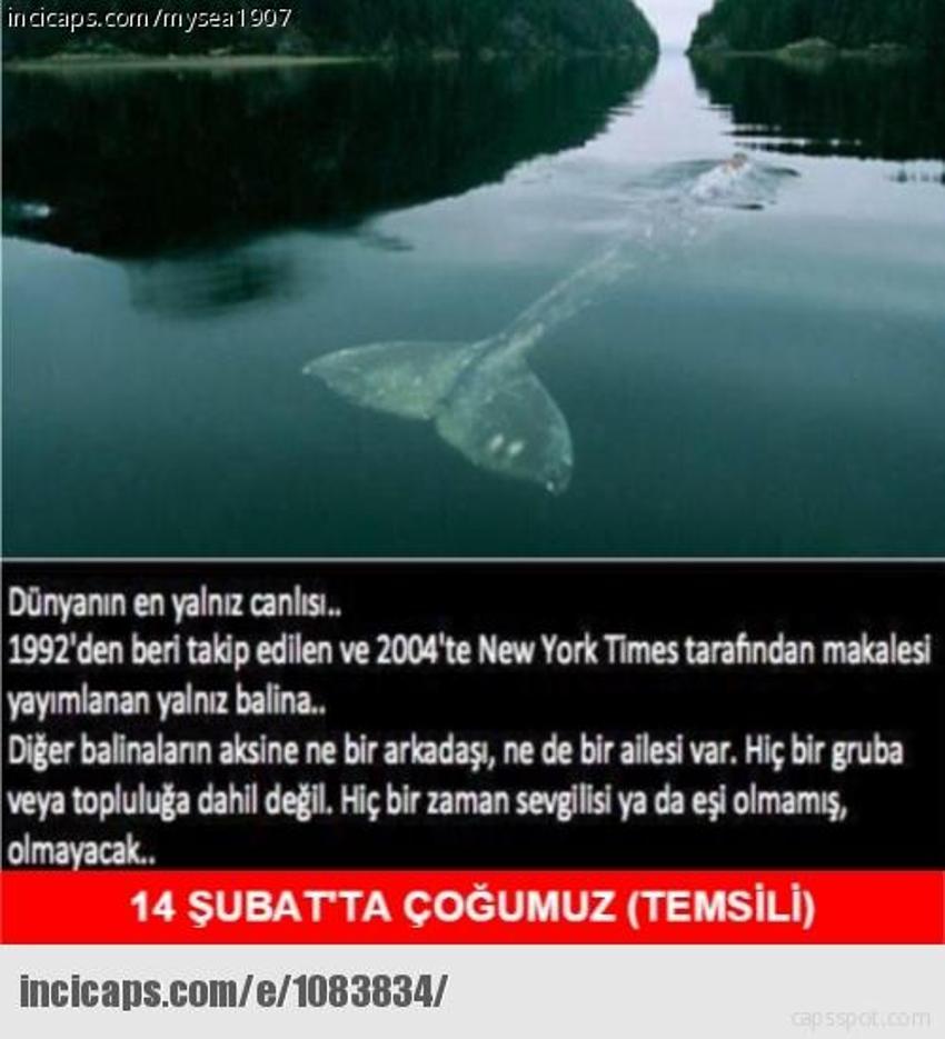 Gülme garantili ´caps´ler