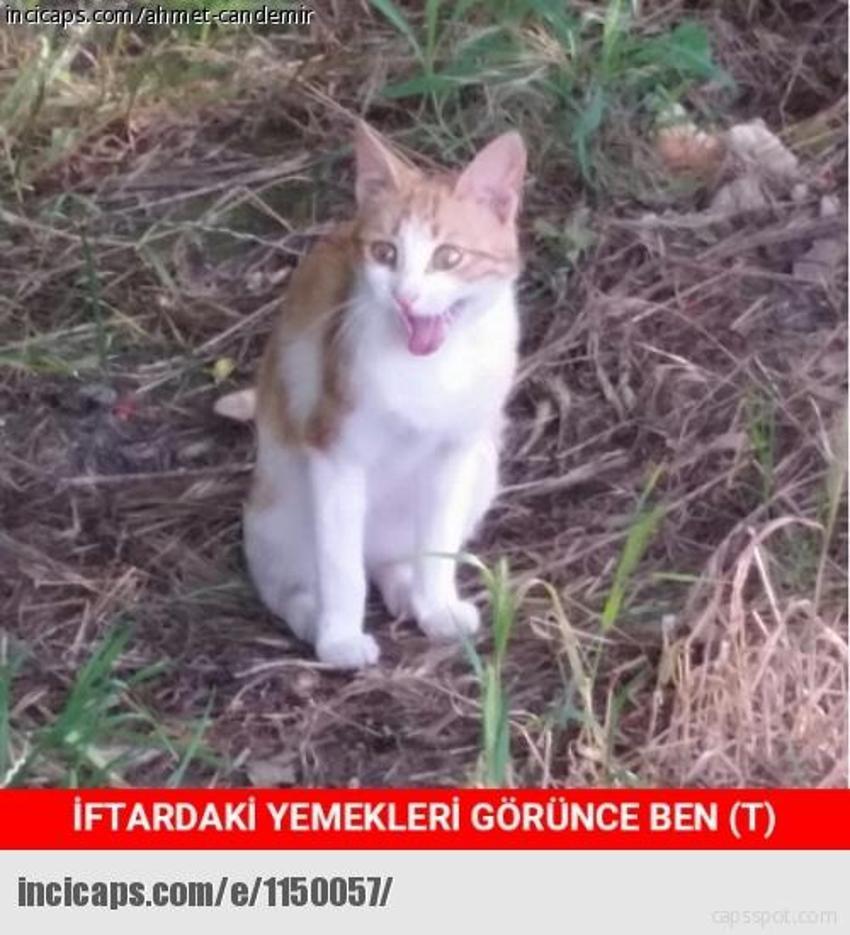 Gülme garantili ´caps´ler