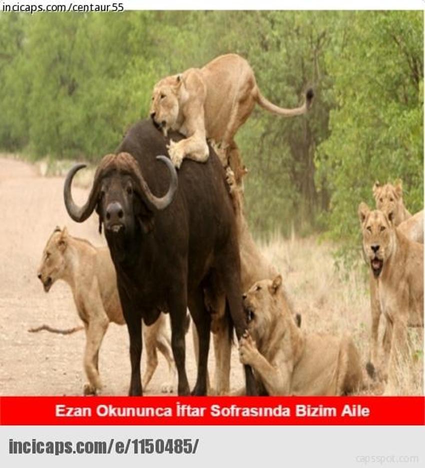 Gülme garantili ´caps´ler