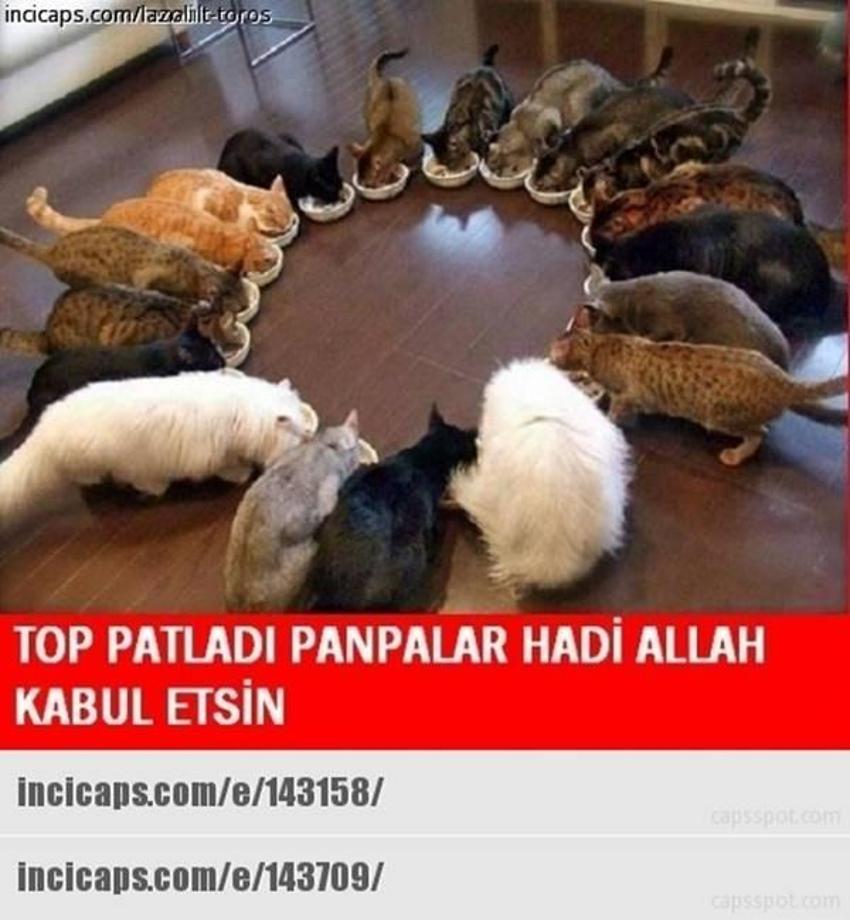 Gülme garantili ´caps´ler
