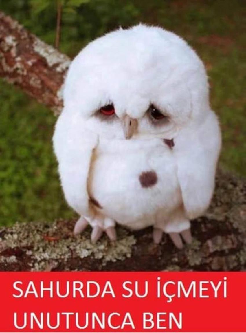 Gülme garantili ´caps´ler