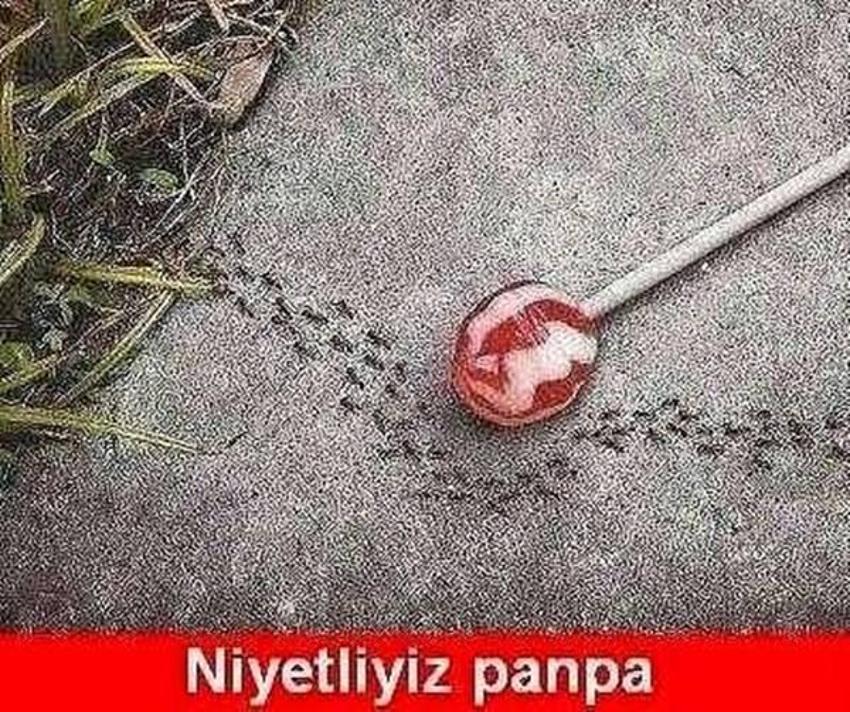 Gülme garantili ´caps´ler