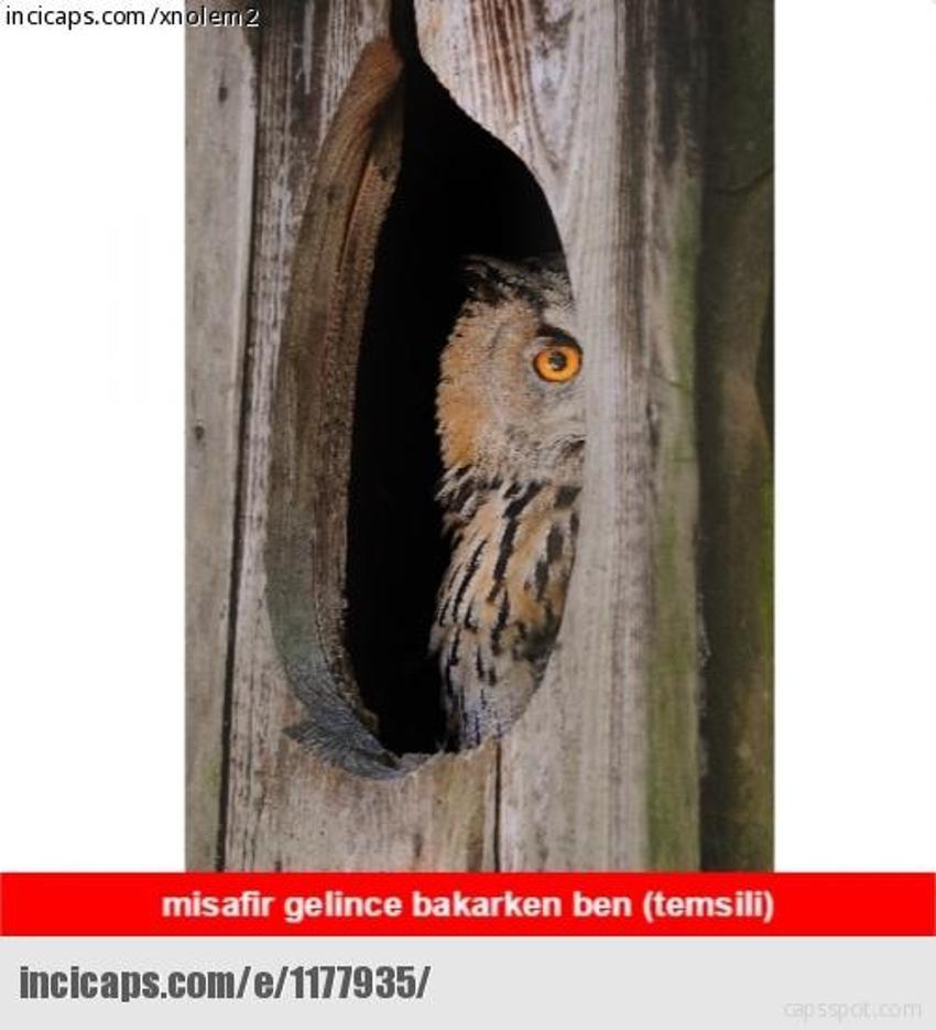 Gülme garantili ´caps´ler