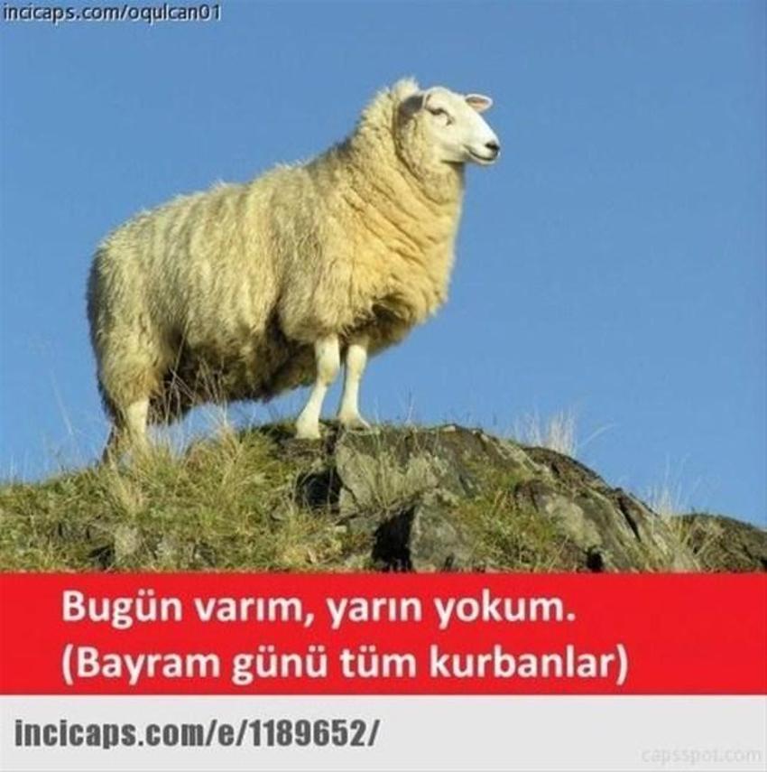 Gülme garantili ´caps´ler