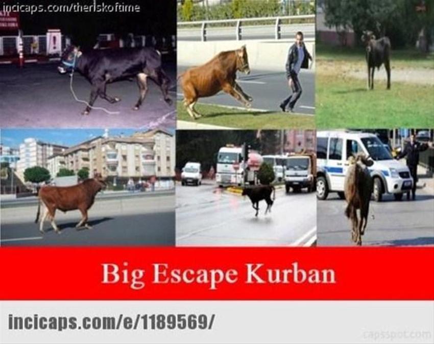 Gülme garantili ´caps´ler