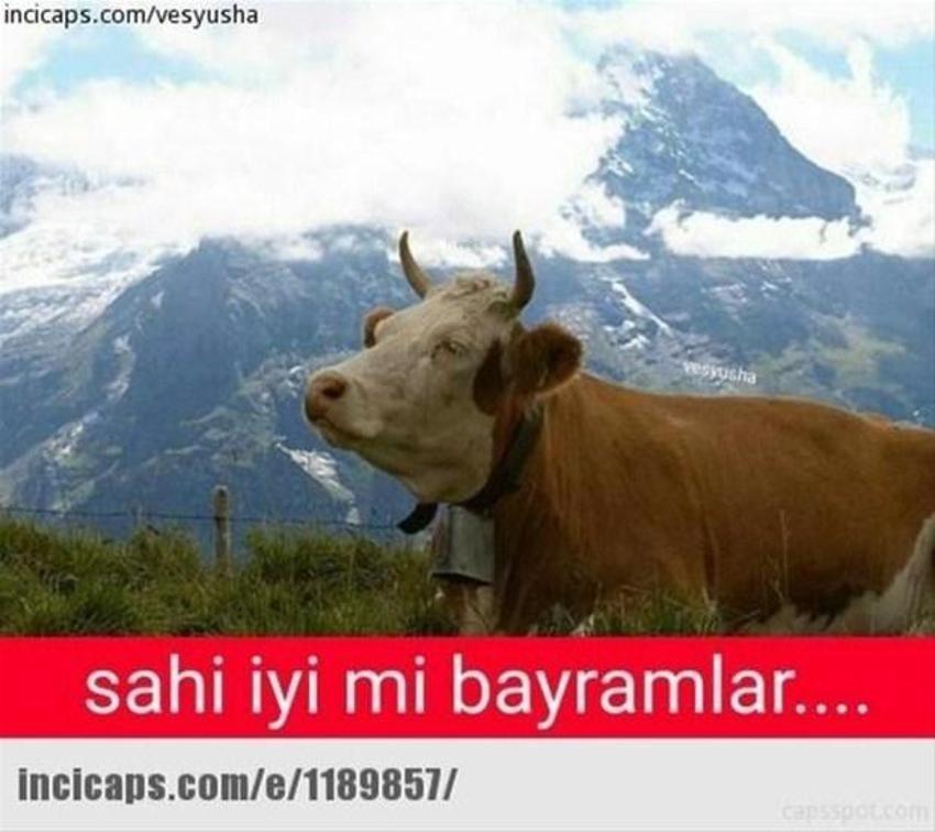 Gülme garantili ´caps´ler