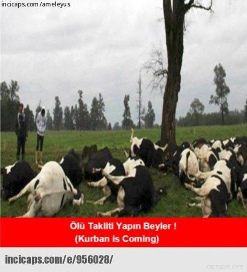 Gülme garantili ´caps´ler
