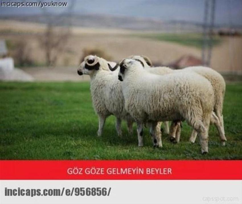 Gülme garantili ´caps´ler