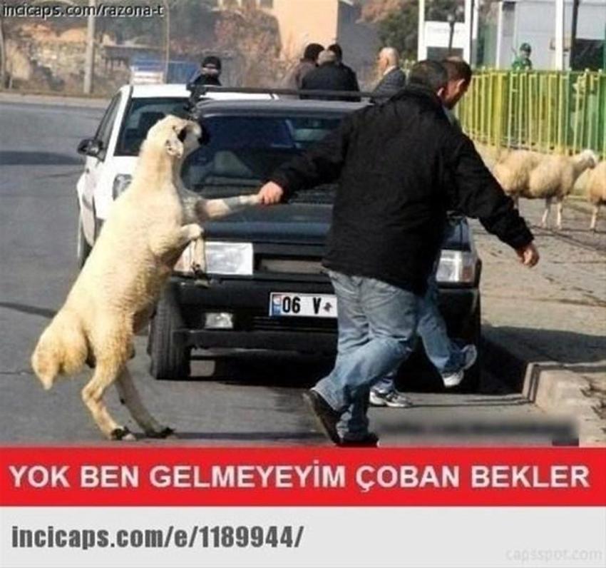 Gülme garantili ´caps´ler