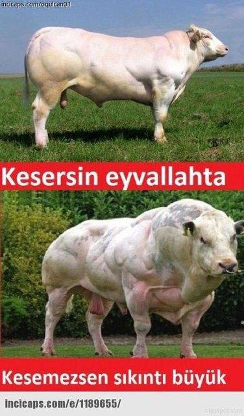 Gülme garantili ´caps´ler