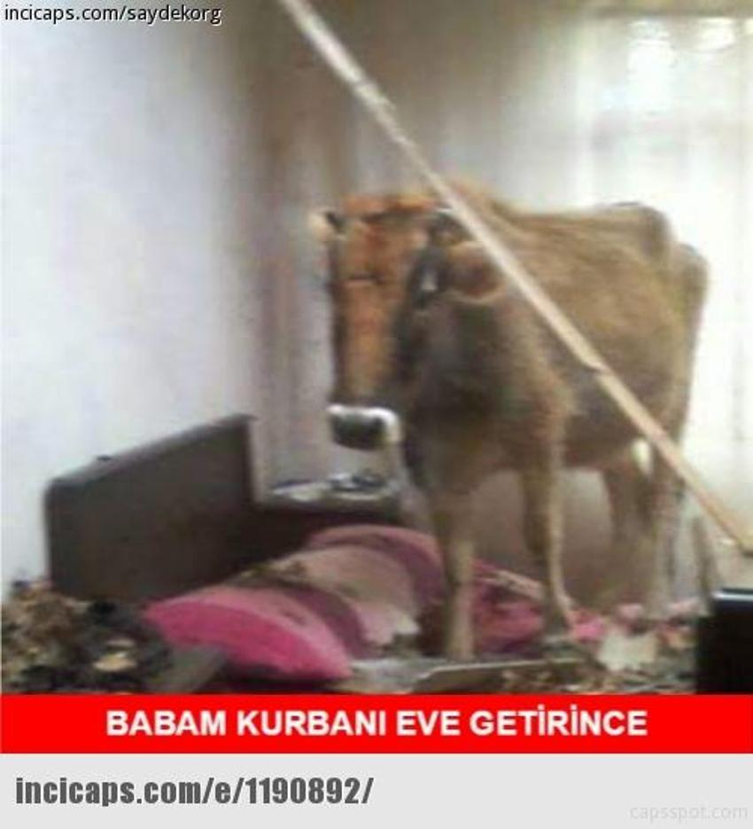 Gülme garantili ´caps´ler