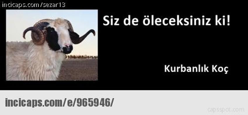 Gülme garantili ´caps´ler