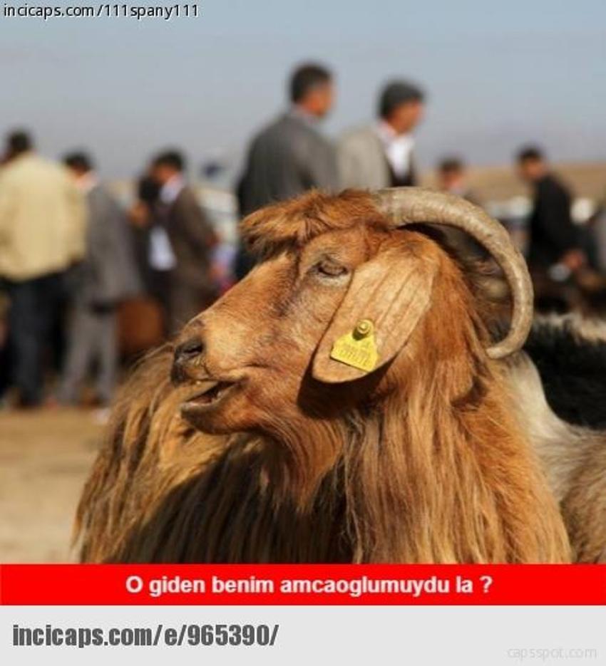 Gülme garantili ´caps´ler