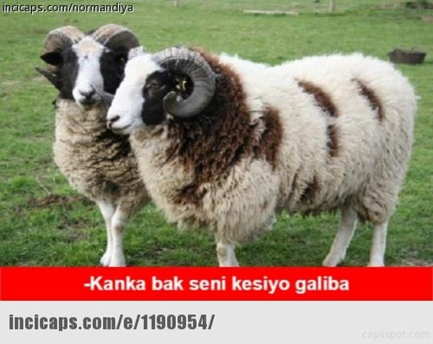 Gülme garantili ´caps´ler