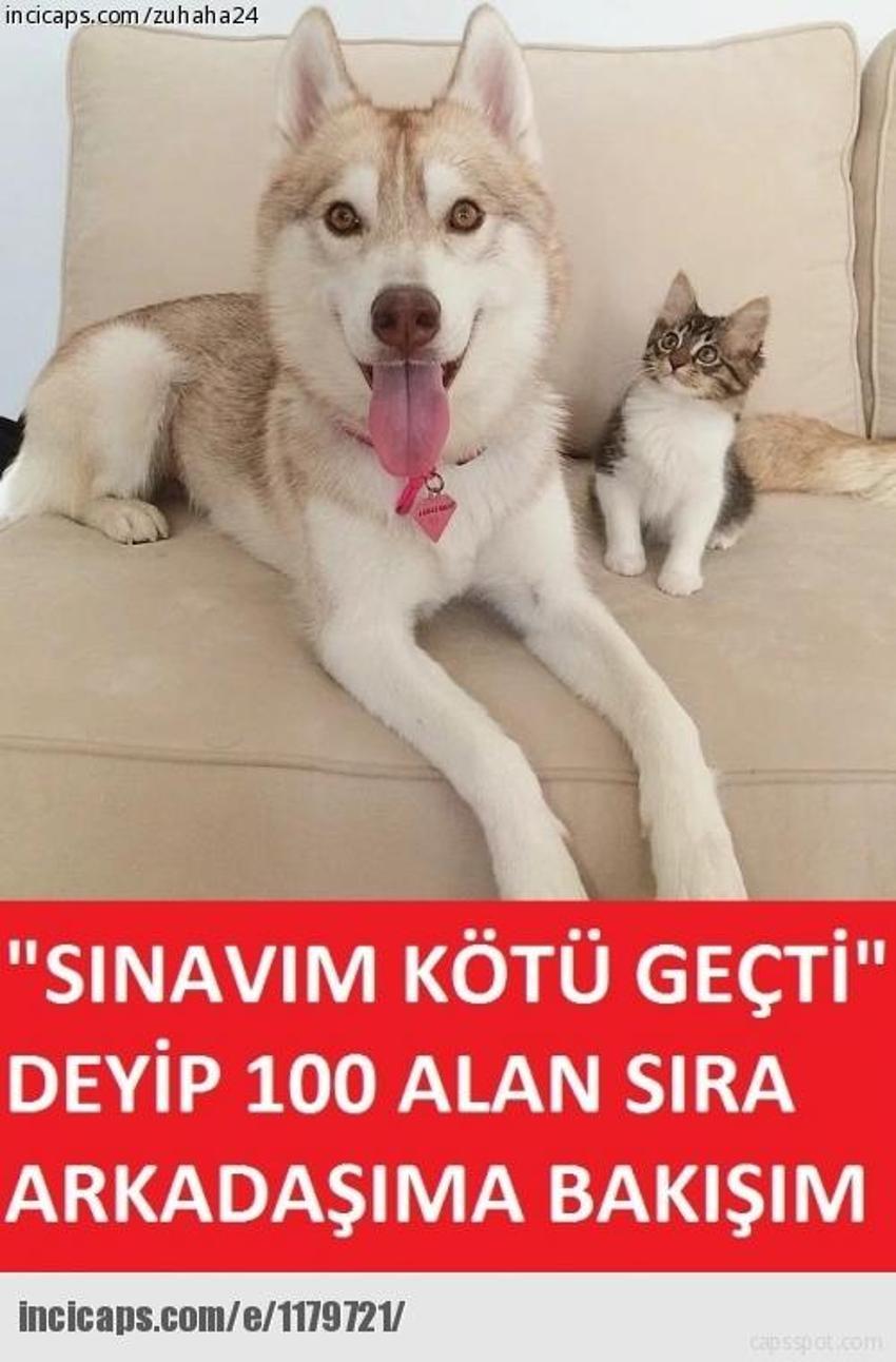 Gülme garantili ´caps´ler