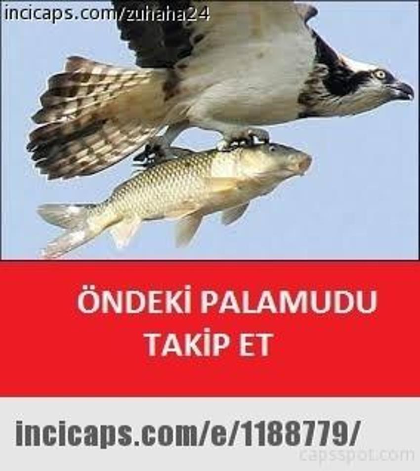 Gülme garantili ´caps´ler