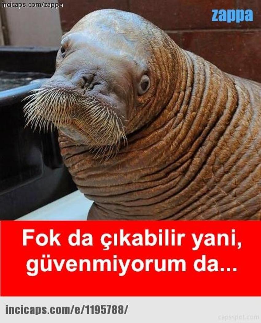 Gülme garantili ´caps´ler